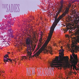 The Sadies - Never Again Lyrics - Zortam Music