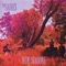 Sunset to Dawn - The Sadies lyrics