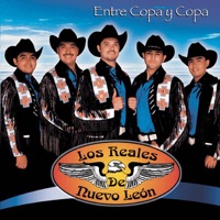 Entre Copa y Copa - Los Reales De Nuevo Leon