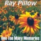 If Drinking Don't Kill Me (Her Memory Will) - Ray Pillow lyrics