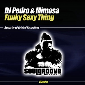Funky Sexy Thing (Funky Mix)