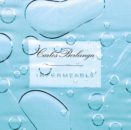 Cover artwork for Lady Dilema