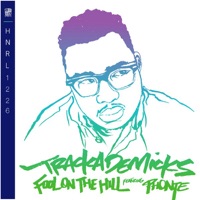 Fool On The Hill - Trackademicks