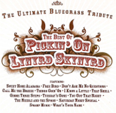 The Best of Pickin' on Lynyrd Skynyrd: The Ultimate Bluegrass Tribute