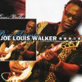 Joe Louis Walker - You Get What You Give