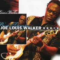 Pasa Tiempo - Joe Louis Walker