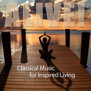 Serenade for Strings In C Major, Op.48: 2. Waltz