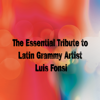 Drew's Famous #1 Latin Karaoke Hits: Sing Like Luis Fonsi - Reyes De Cancion