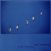 The Almond - Nate Wooley