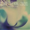 Cattleya - Été