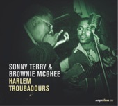 Sonny Terry & Brownie McGhee - Pawnshop Blues