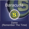 Baracuda - Damn (Remember the Time)