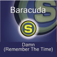 Baracuda - Damn (Remember the Time)