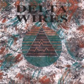 Delta Wires - Why Did You Leave?