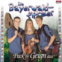 Die Bayerwaldflitzer - Heit, do fang ma schneidig o