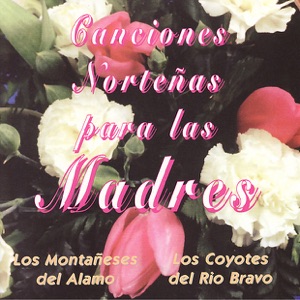 Amor de Madre