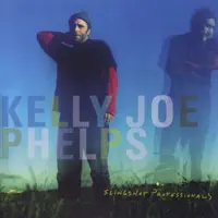 Cardboard Box of Batteries — Kelly Joe Phelps