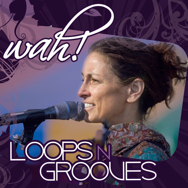 Loops n Grooves