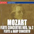 Flute & Harp concerto