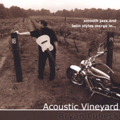 Cover art for Acoustic Vineyard by Bryan Lubeck