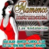 Flamenco Instrumental