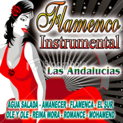 Flamenco Instrumental - Las Andalucias