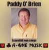 Paddy O'Brien - September In Miami
