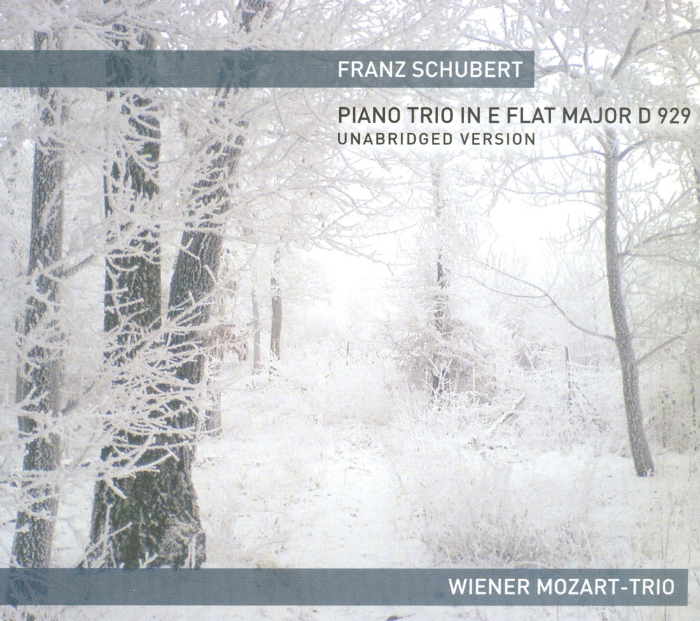 Обложка альбома «SCHUBERT PIANO TRIO IN E FLAT MAJOR D 929» — Vienna Mozart-Trio