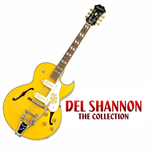 Keep Searchin` (We`ll Follow The Sun) — Del Shannon