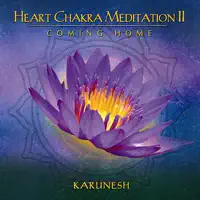 The Circle — Karunesh
