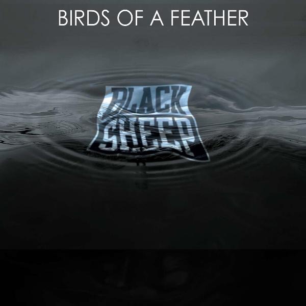 Birds of a Feather (feat. Q-Tip, Trugoy the Dove & Mike G) cover art