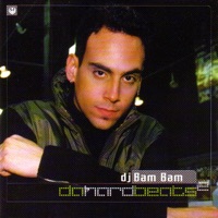 DJ Bam Bam - Number & Measure (Chris McCormack Remix) - Jamie Bissmire album artwork