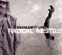 Radical Mestizo by Shooglenifty on Apple Music
