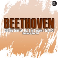 Beethoven: String Quartet No. 3 in D major, Op.18/3 - Bamberg Quartet