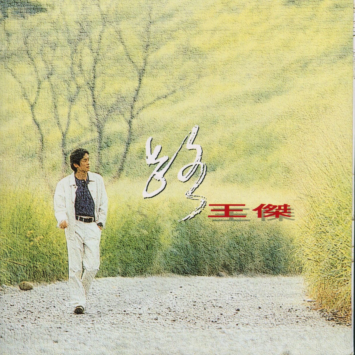 王傑 - 路 (1993) [iTunes Plus AAC M4A]-新房子