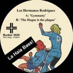 The Hague Is the Plague