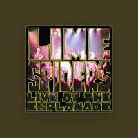 Lime Spiders