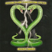 Hooked On Southern Speed - Truckin' for Jesus