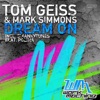 Tom Geiss & Mark Simmons