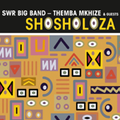 Cover art for Pata Pata by Themba Mkhize, SWR Big Band, Hlulani Hlangwani & siya makuzeni