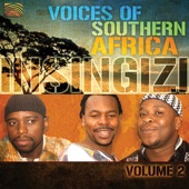 Voices of Southern Africa Vol. 2 artwork
