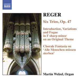 Reger: Organ Works Vol. 6