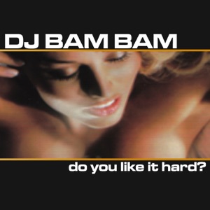 Do You Like It Hard (Continuous DJ Mix By DJ Bam Bam)