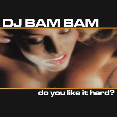 Do You Like It Hard (Continuous DJ Mix By DJ Bam Bam)