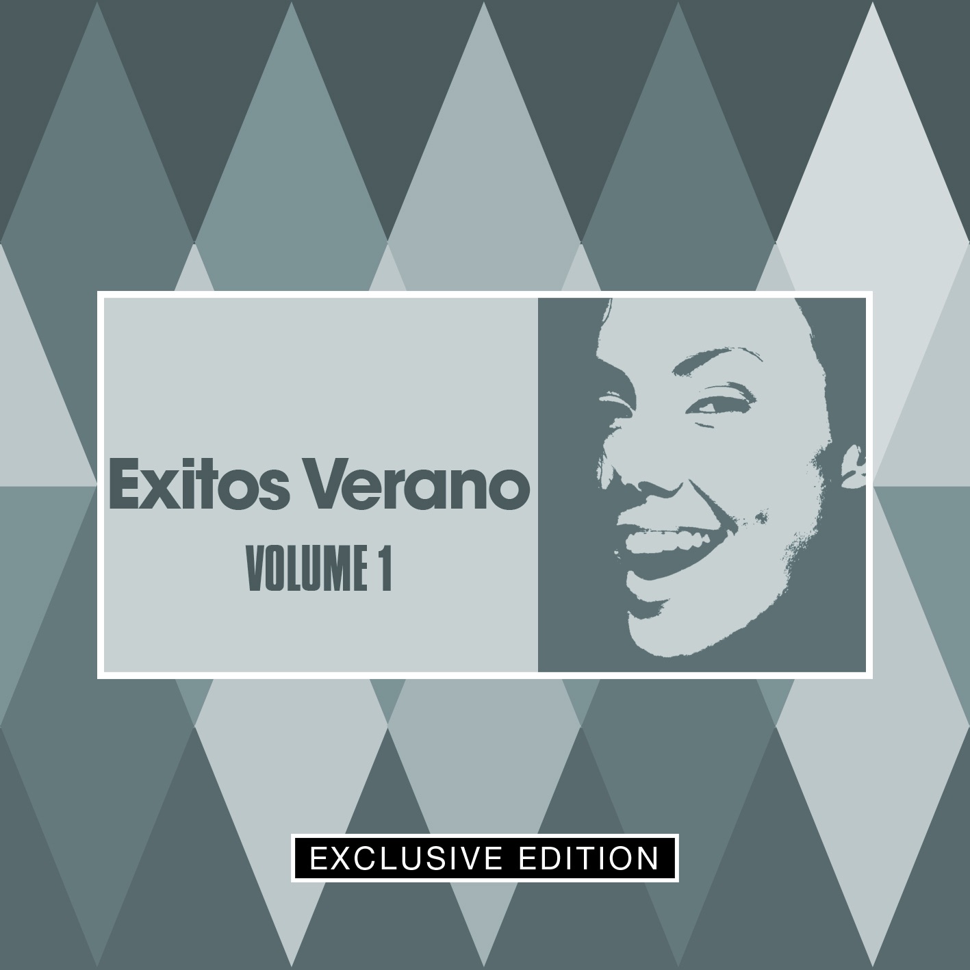 Exitos Verano, Vol. 1