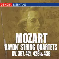 String Quartet No. 15 in D Minor, K. 421: I. Allegro