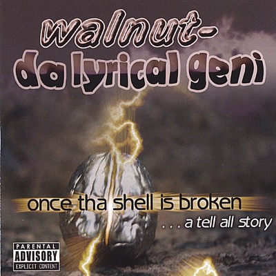 Once tha Shell Is Broken