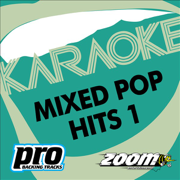 Crash (In the Style of The Primitives) - Zoom Karaoke
