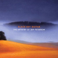 Jeff Peterson - Endless Summer Slack Key