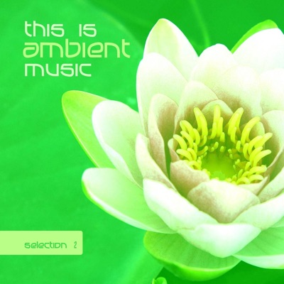 This Is Ambient Music, Vol. 2